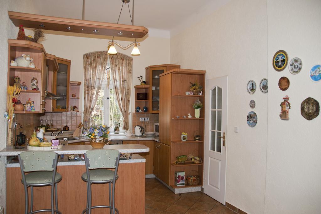 Apartman Na Zahradni カルロヴィ・ヴァリ 部屋 写真