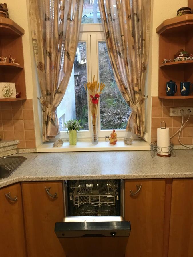 Apartman Na Zahradni カルロヴィ・ヴァリ エクステリア 写真